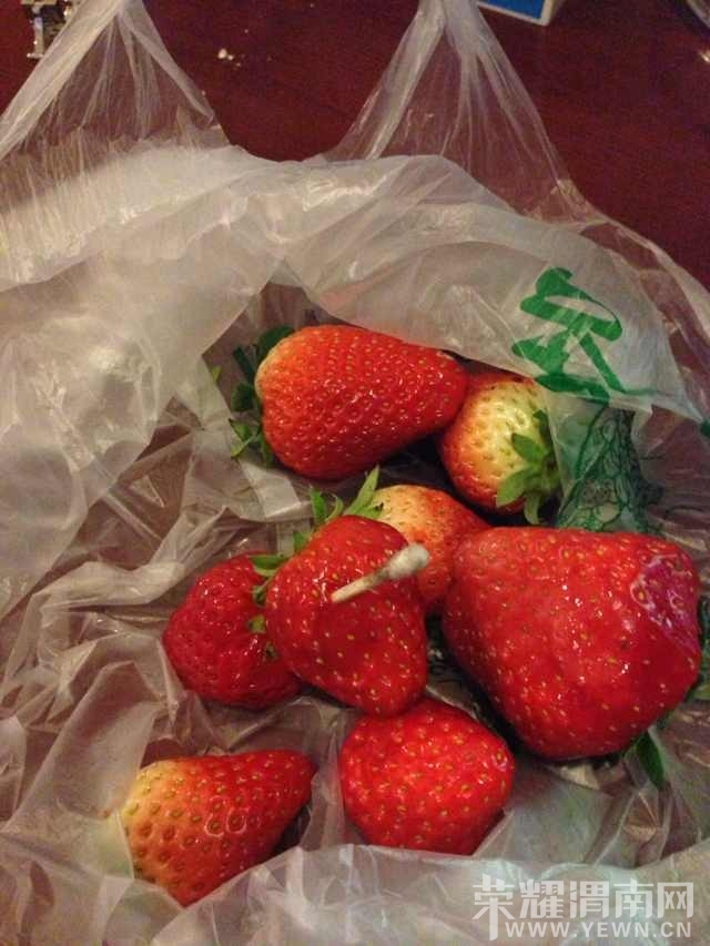 ��԰С���ĺ�ʢ�鳬