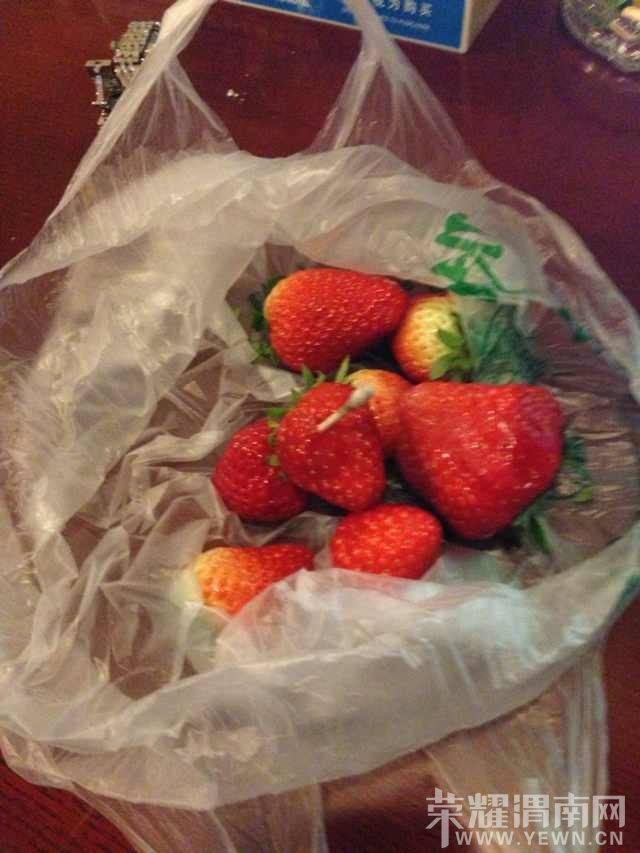 ��԰С���ĺ�ʢ�鳬