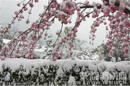 20071203095953[1].jpg