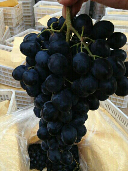 20140204215407_70090.jpg