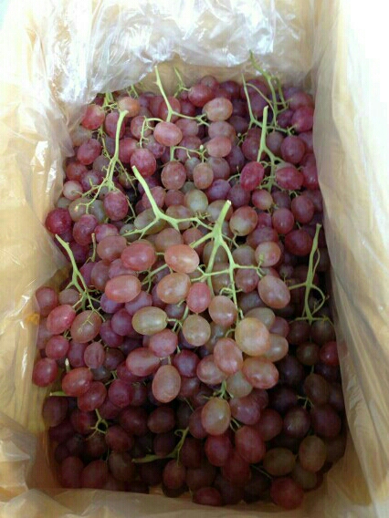20140204215413_45662.jpg