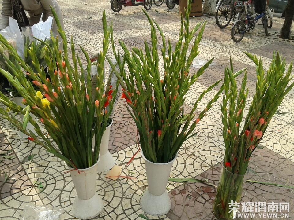20140130_130450.jpg