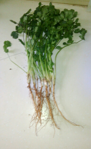 20140216092214_87042.jpg