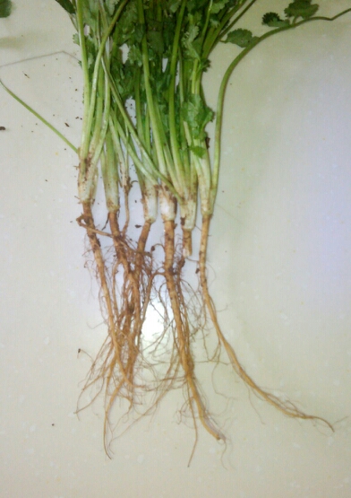 20140216092216_42681.jpg