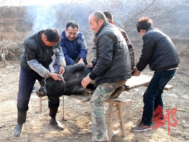 ����ɱ��               ����أ���������.jpg