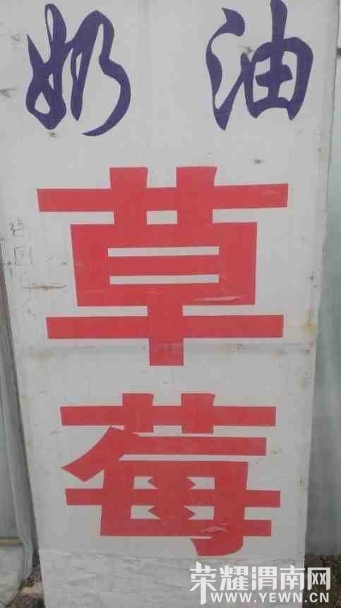 704373.jpg