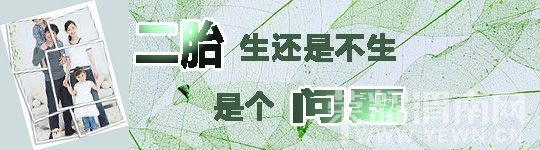 ˫������