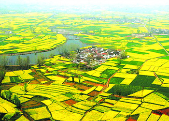 20110401sangezhuati00013.jpg