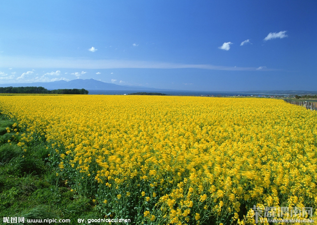 201203081509001616.jpg
