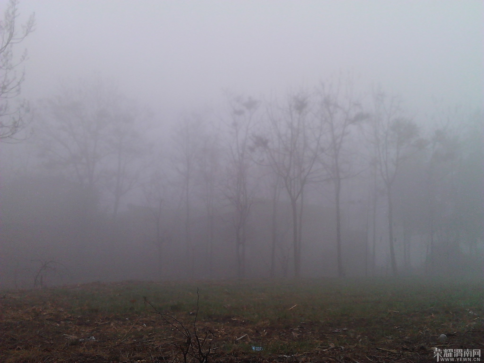 IMG_20140302_074450.jpg