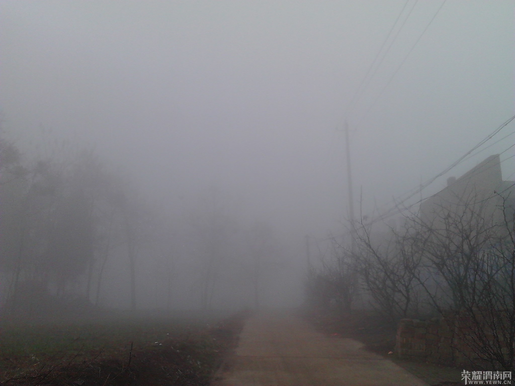 IMG_20140302_074454.jpg