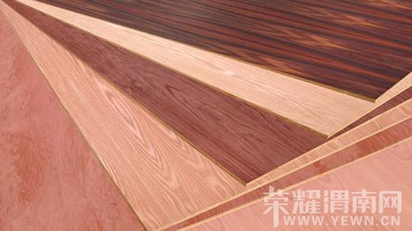 QQ��ͼ20140310093207.jpg