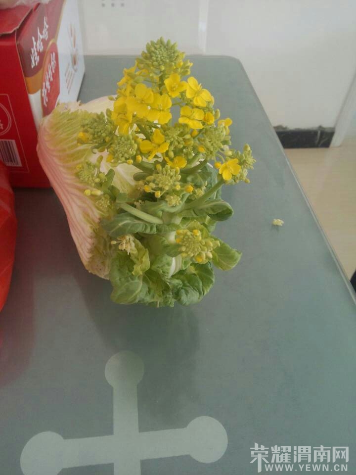 24931_1215093.jpg