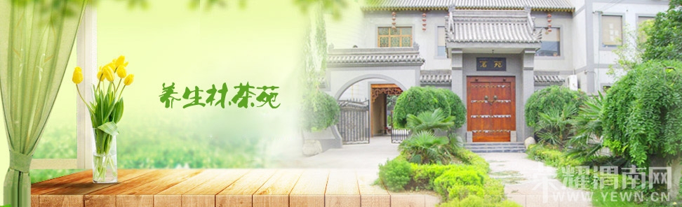 banner.jpg