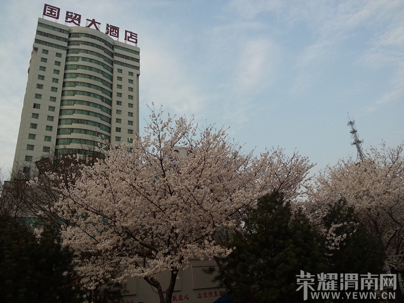QQͼƬ20140323204705_����.jpg