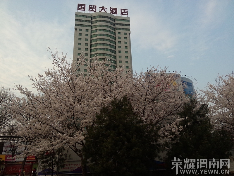 QQͼƬ20140323204714_����.jpg