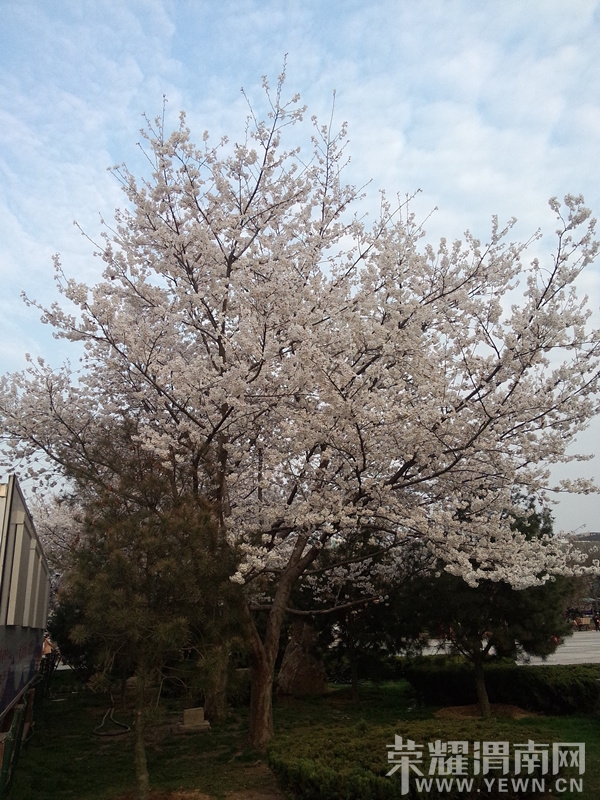 QQͼƬ20140323204718_����.jpg