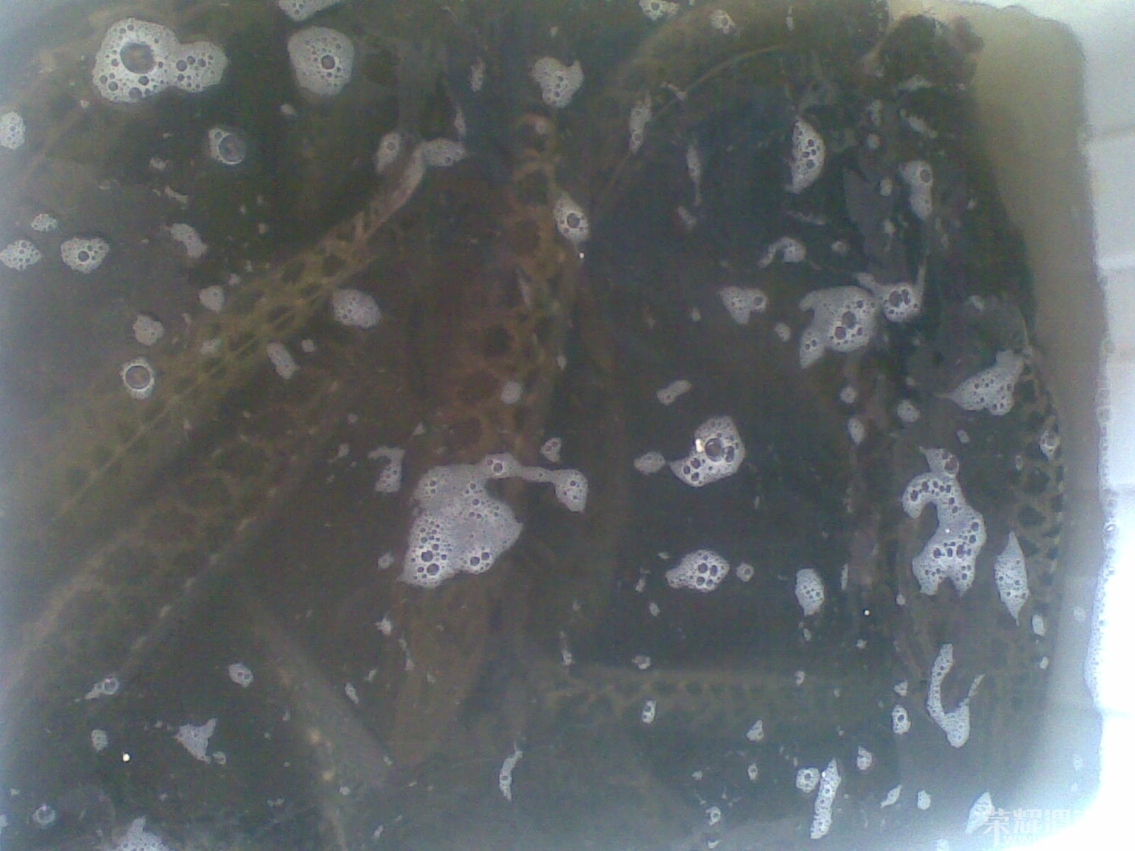 20140309(004).jpg