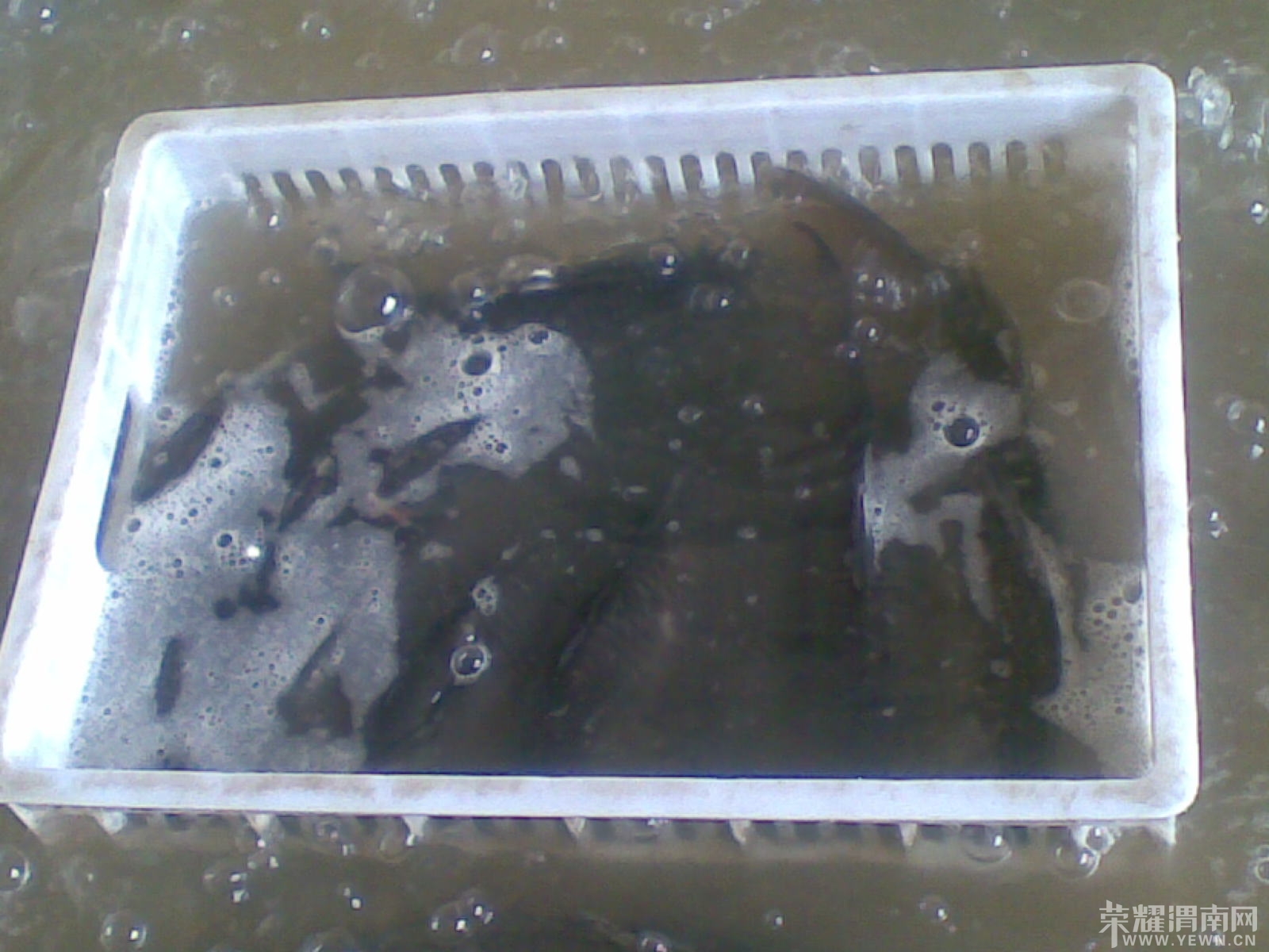 20140309(007).jpg