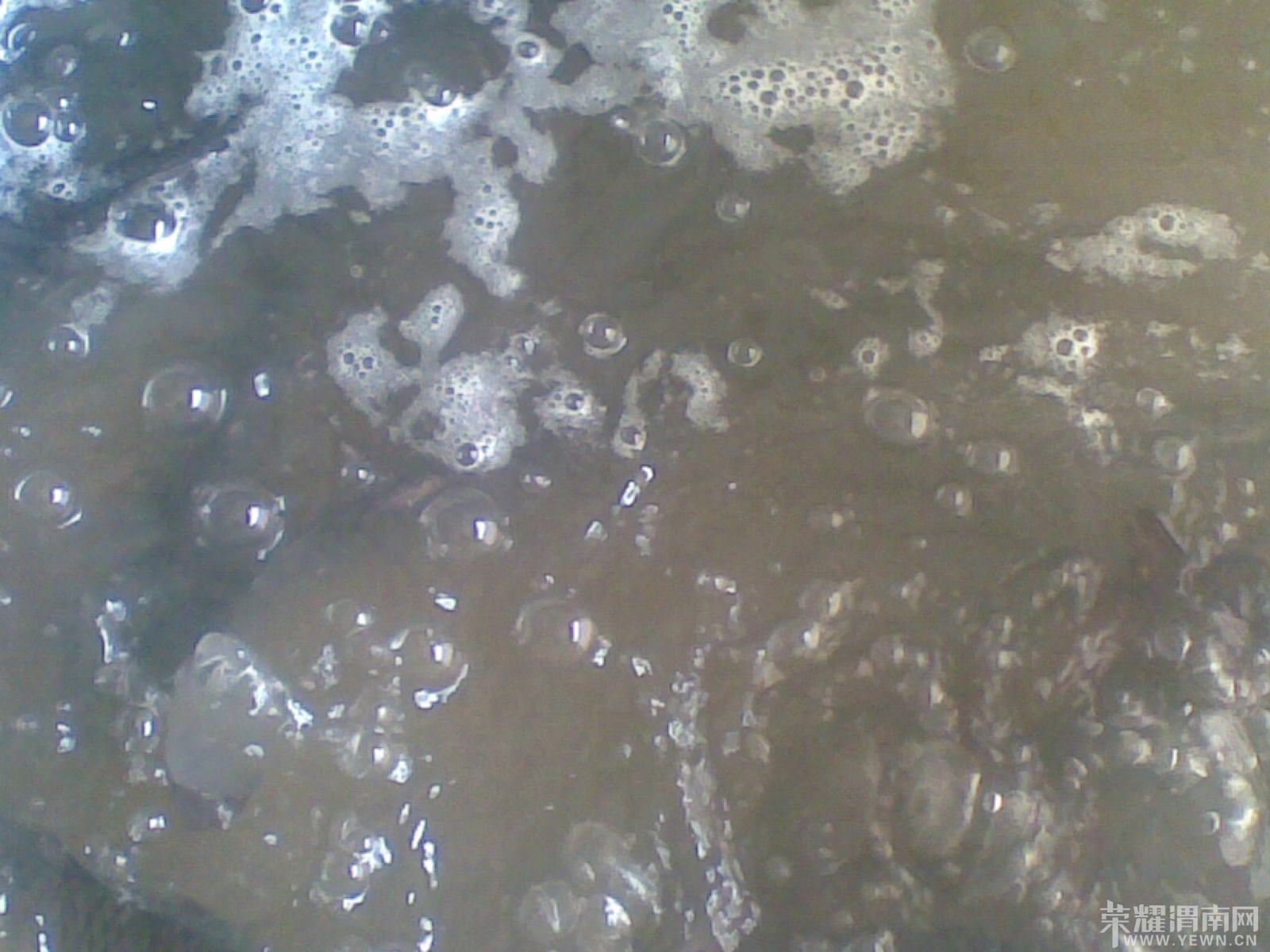 20140309(008).jpg