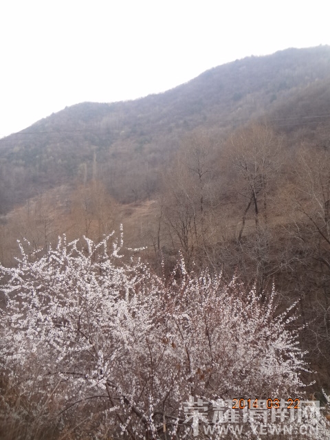 DSC00228.JPG