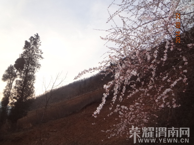 DSC00262.JPG