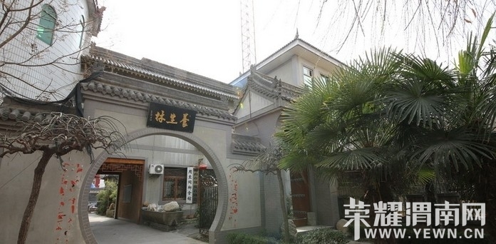 yang3.jpg