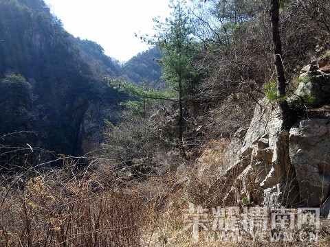 20140327150541_��Ŀѹ��.jpg