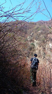 IMG20140326105930_��Ŀѹ��.jpg