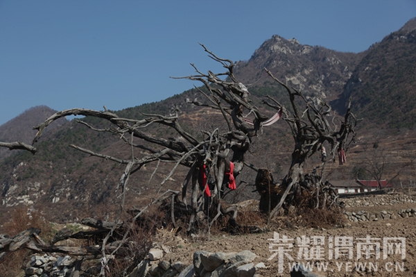 ��Ƭ 031_����_����.jpg