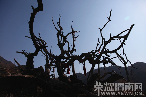 ��Ƭ 045_����_����.jpg