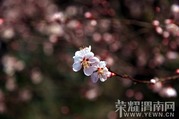 ��Ƭ 331_����_����.jpg