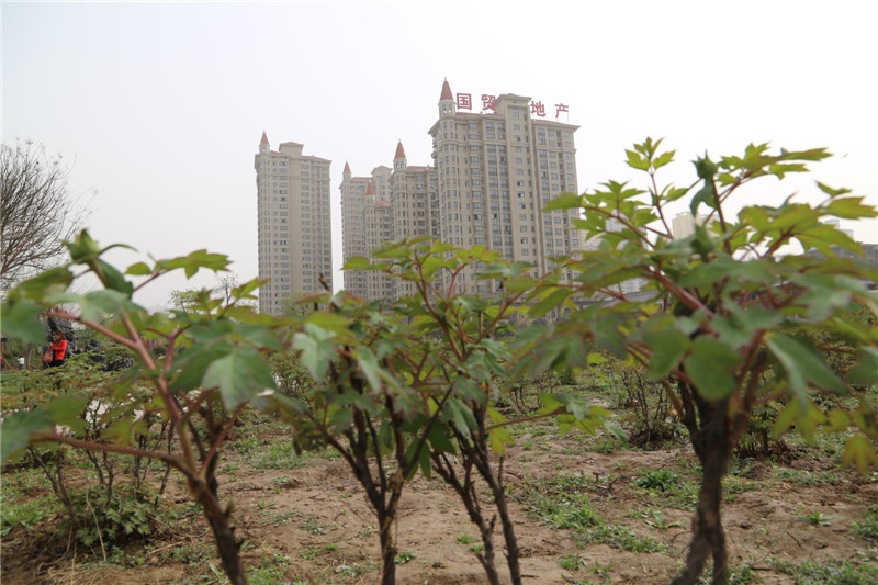 ���� FILE023.jpg