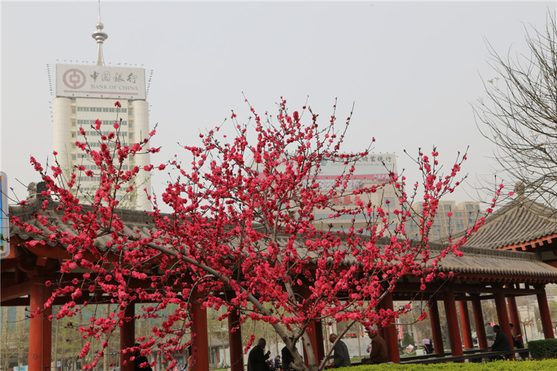 ���� FILE025.jpg