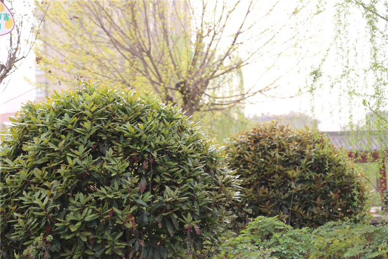 ���� FILE026.jpg