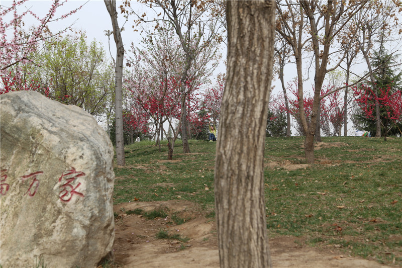 ���� FILE028.jpg