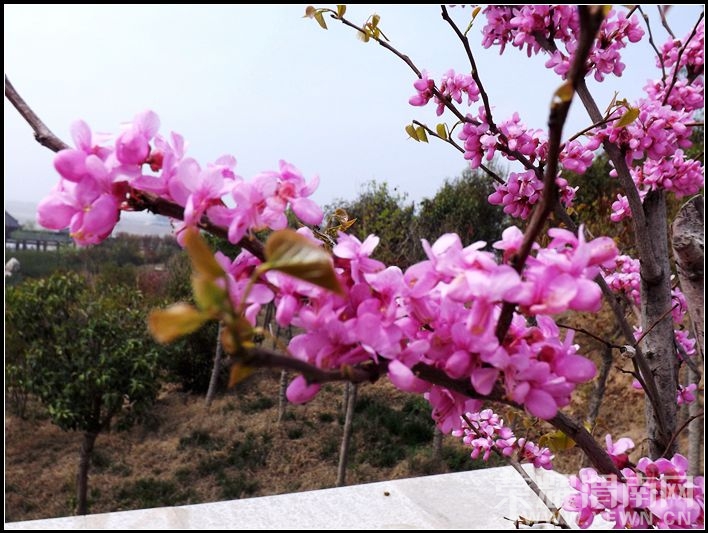 ��Ƭ 028.jpg