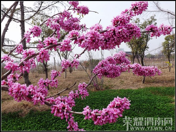 ��Ƭ 031.jpg