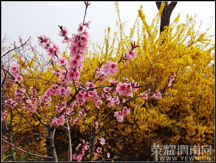 ��Ƭ 038.jpg