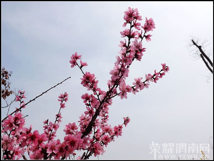 ��Ƭ 039.jpg