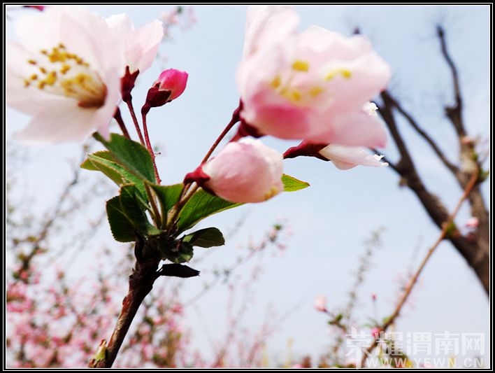 ��Ƭ 041.jpg