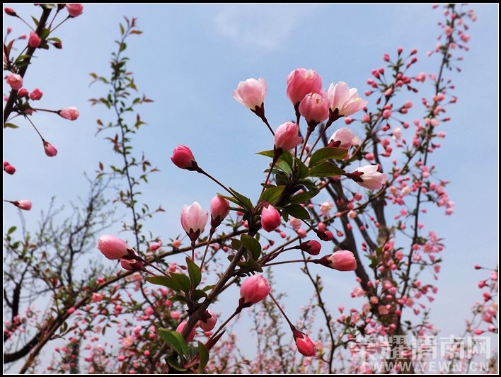 ��Ƭ 045.jpg