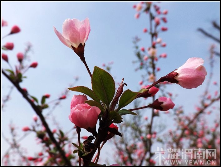 ��Ƭ 046.jpg