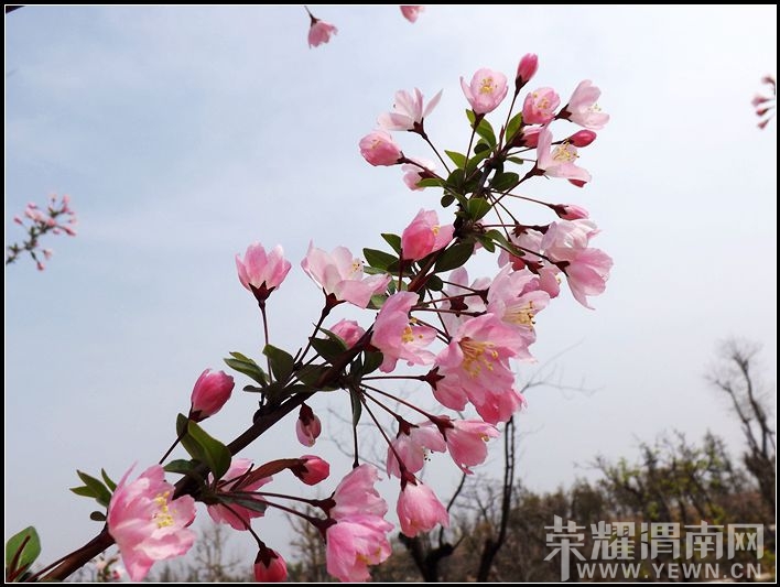 ��Ƭ 057.jpg