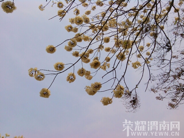220918hh7j2f7f07en00hk.jpg