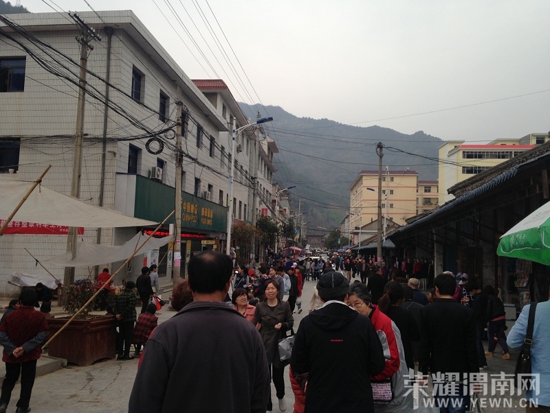 IMG_0913.C88BB0A203383F3153134CB24C48B5E9_Ŀѹ.JPG