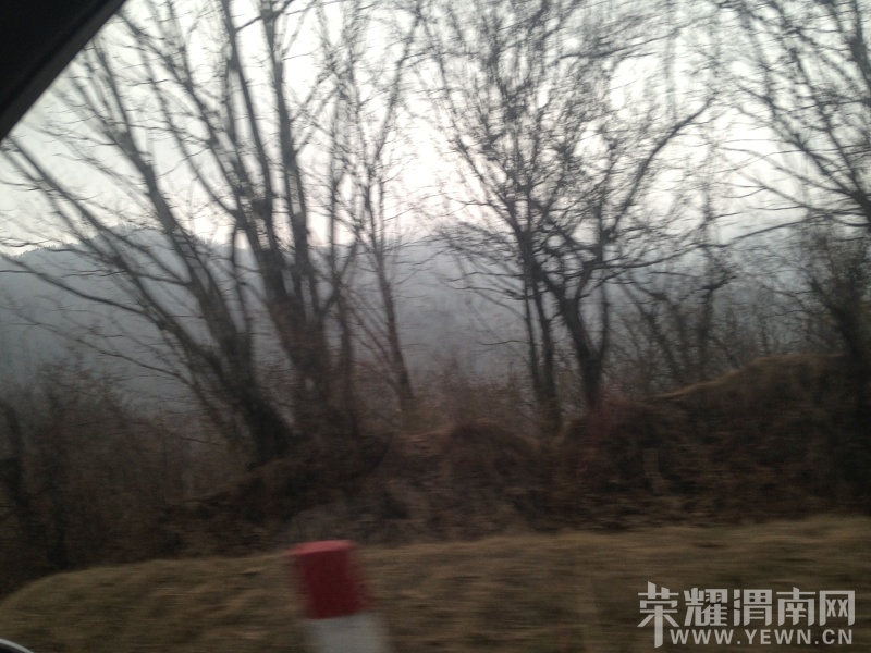 IMG_0955.1E7C6EABCAD86DC5CA0CC8C0664BFC4A_Ŀѹ.JPG