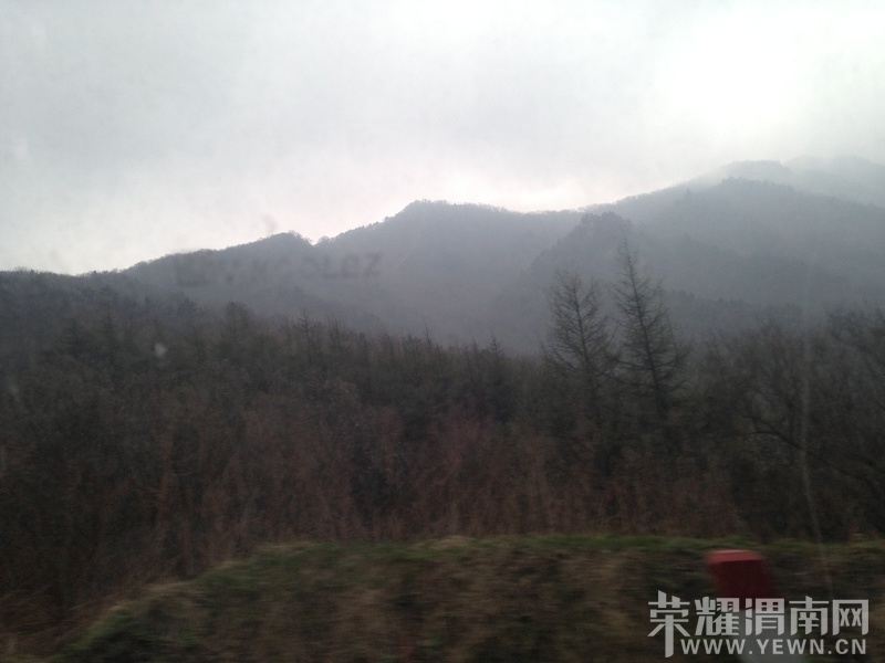 IMG_0956.6438FDAC63F70F8BA30AE4112CB702AD_Ŀѹ.JPG