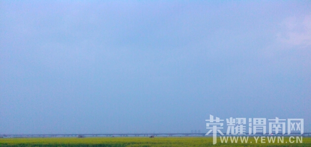 204157n5h16y16stcpvimv.jpg
