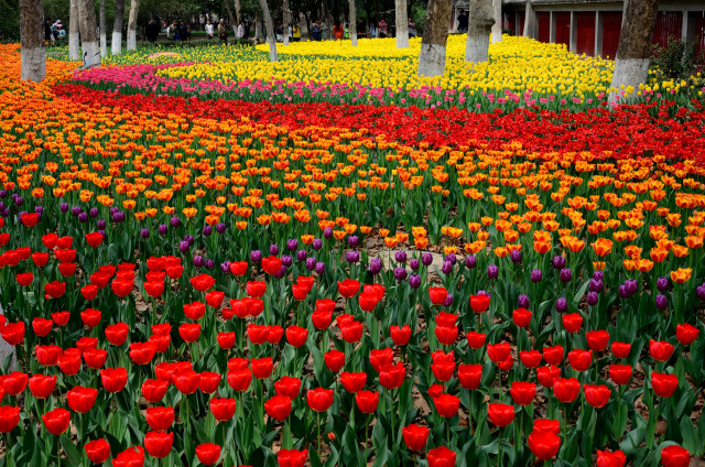 ������ (5).JPG